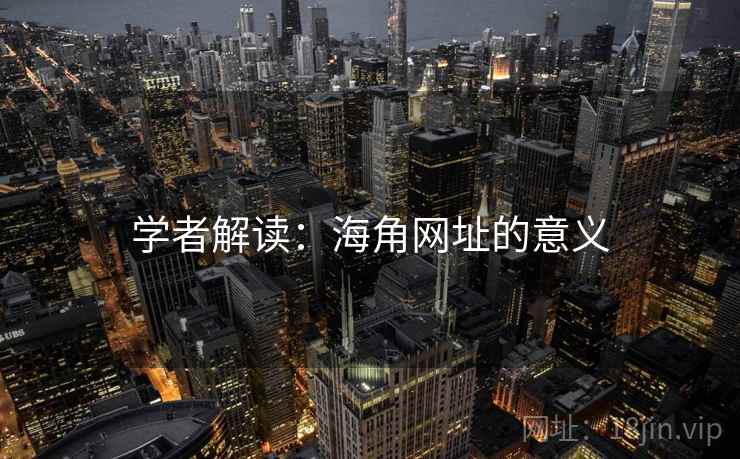 学者解读:海角网址的意义