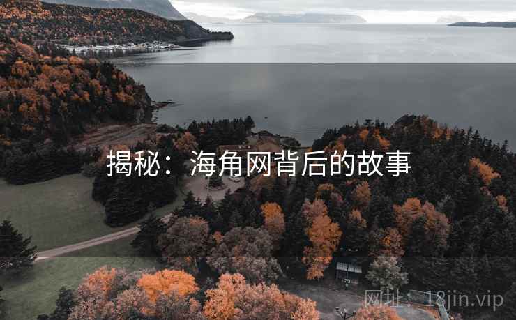 揭秘:海角网背后的故事