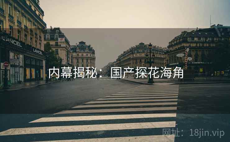 内幕揭秘:国产探花海角