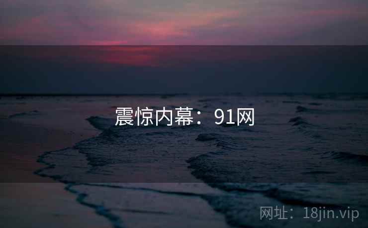 震惊内幕：91网