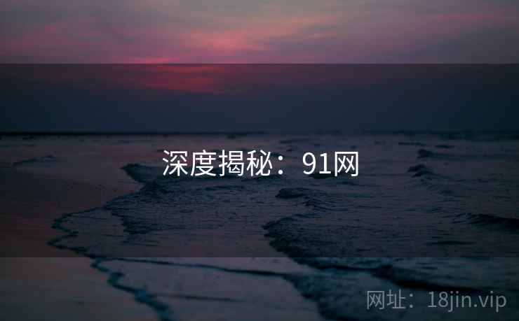 深度揭秘:91网 深度揭秘:91网