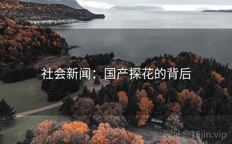 社会新闻:国产探花的背后