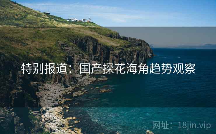 特别报道:国产探花海角趋势观察