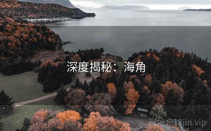 深度揭秘:海角 深度揭秘:海角