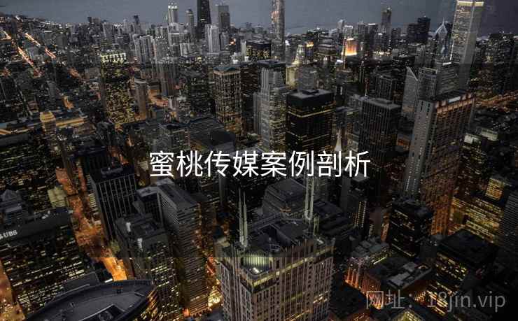 蜜桃传媒案例剖析 蜜桃传媒案例剖析