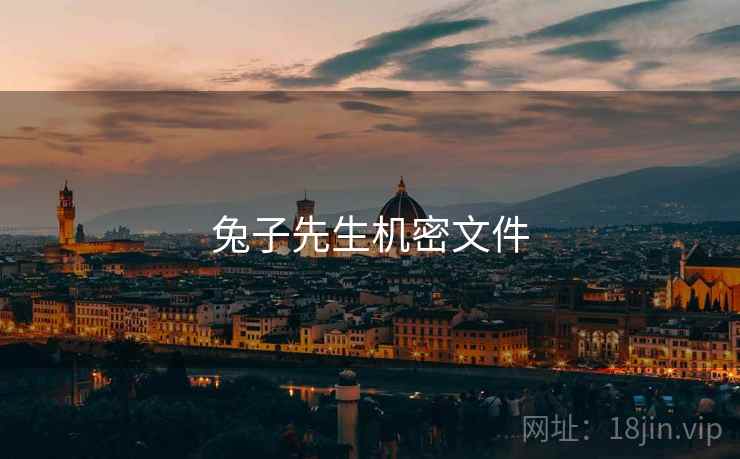 兔子先生机密文件