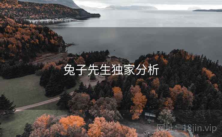 兔子先生独家分析 兔子先生独家分析