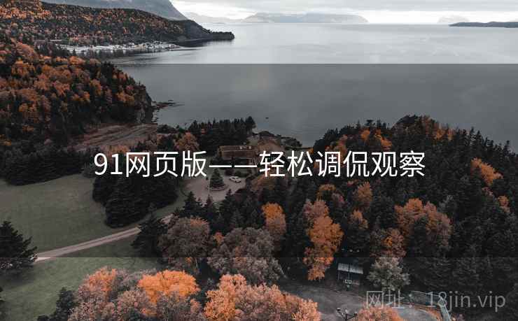 91网页版——轻松调侃观察